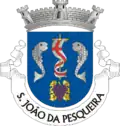 Vlag van São João da Pesqueira