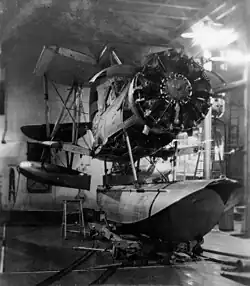 Seagull met ingeklapte vleugels in een hangar