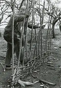 Matten maken van griendhout