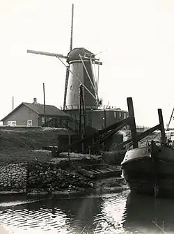 Molen Nooitgedacht bij haven op dijk (in 1962)