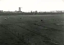 Polder Hongerland en molen Nooitgedacht (1962)