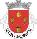 Vlag van Salvador