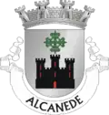 Vlag van Alcanede
