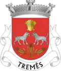 Vlag van Tremês