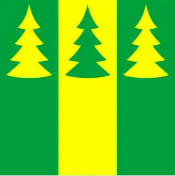 Vlag van de gemeente Saarde