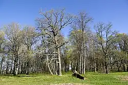 Het park bij het vroegere landhuis