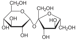 Structuurformule van sacharose