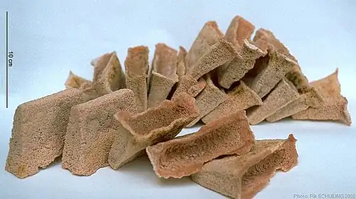 Sagu lempeng, harde, lang goedblijvende broodjes die men in de Molukken (Indonesië) van sagozetmeel maakt (2002)