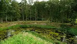 Saillant van het zuidoostelijke bastion met gracht en het inmiddels bebost geraakte oostelijke schootsveld.