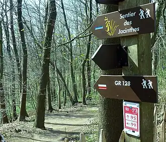 Het Hyacintenpad (Sentier des Jacinthes)