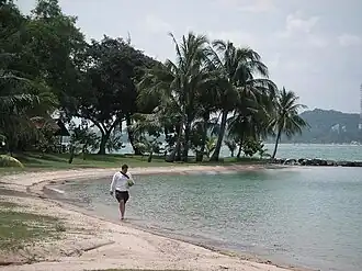 Een strand op Saint John's Island