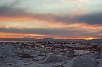 Bevroren kustwateren in het midden van de winter.