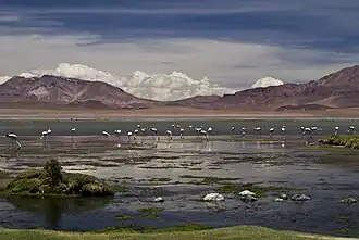 Nationaal natuurreservaat Los Flamencos
