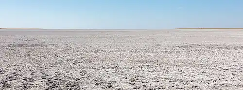 Makgadikgadizoutvlaktes