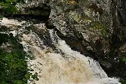 Atlantische zalm die tracht de waterval te overwinnen