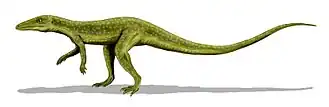 Saltoposuchus