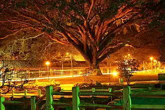 Santander de Quilichao bij nacht