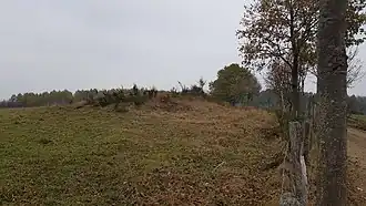 Tumulus van Schinkelsknopf