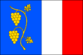 Vlag