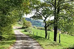 Landschap tussen Sauchay en Sauchay-le-Bas: de Chemin du Manoir