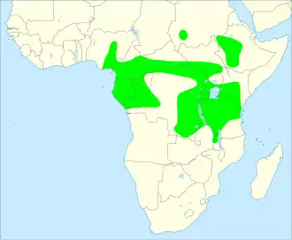 Geschubde frankolijn