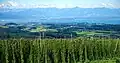 Hopvelden ten zuiden van Tettnang; op de achtergrond de Bodensee en de Alpen