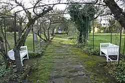 Leitunnel met appelbomen