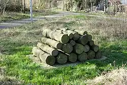 Groenewoud & Buij, 2002