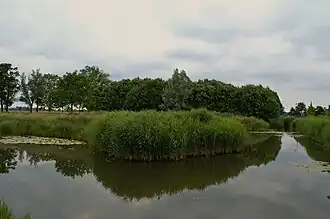 terrein met overblijfselen van kasteel Schalkwijk