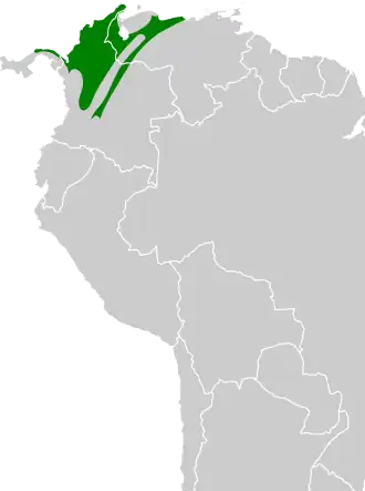 Roestvleugelschiffornis