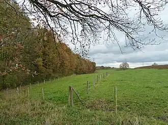 Het opgravingsterrein