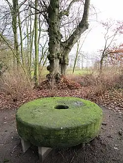 Molensteen in het park