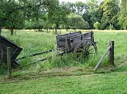 boomgaard met boerenkar, 2018