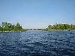 Doorkijk vanaf het Ketelmeer naar Schokkerplaat (links) en Kamperplaat rechts