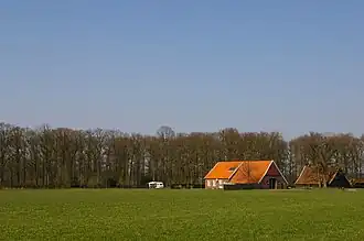 Boerderijcamping met caravan op het weiland