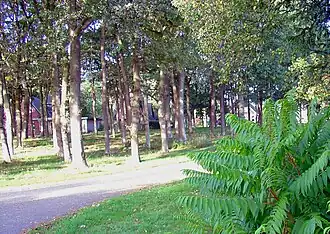 De Schoolbrink in Langelo