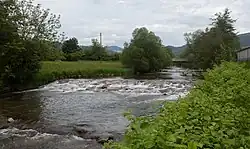 Rivier de Wiese bij Schopfheim