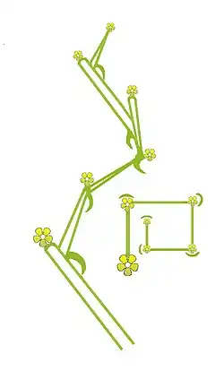 schroef zij- en bovenaanzicht