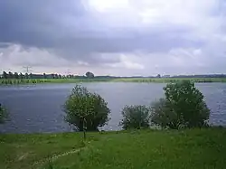 Schroevendaalse plas