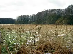 Bebossing in Duitsland