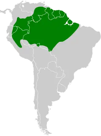 Kortsnavelbladkrabber