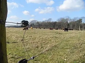 Schaijkse Heide, nabij de Voskampweg