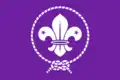 World Organization of the Scout Movement: Vlag