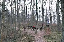 As There Is No Hunting Tomorrow (1986/96)