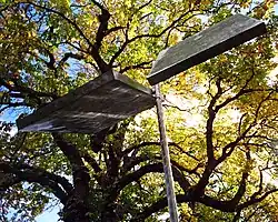 Holywell Manor, Oxford