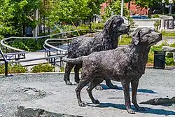 Ander zicht op de beelden