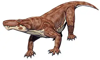 Scylacosaurus.