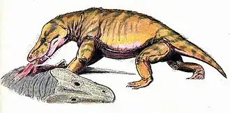 Scylacosuchus.