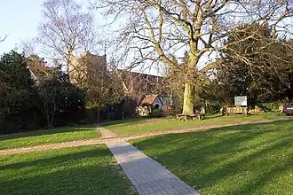 De kerk en het groen.