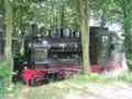 Locomotief 5 'Regenwalde'